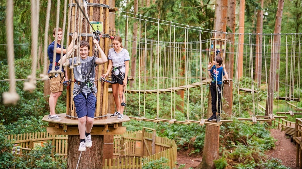 Go ape image Go ape image
