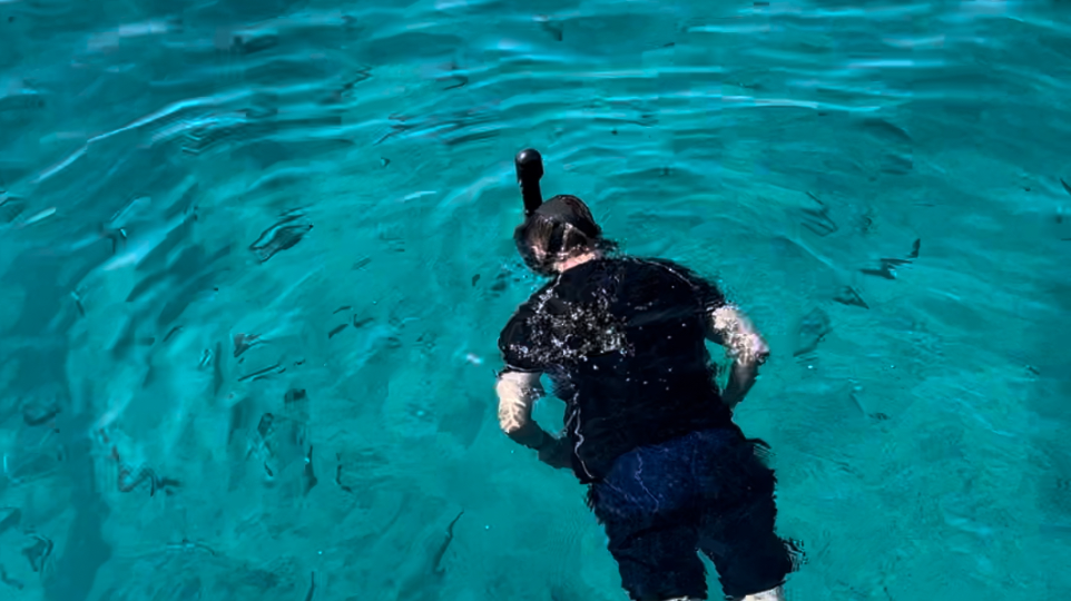 diver adventure