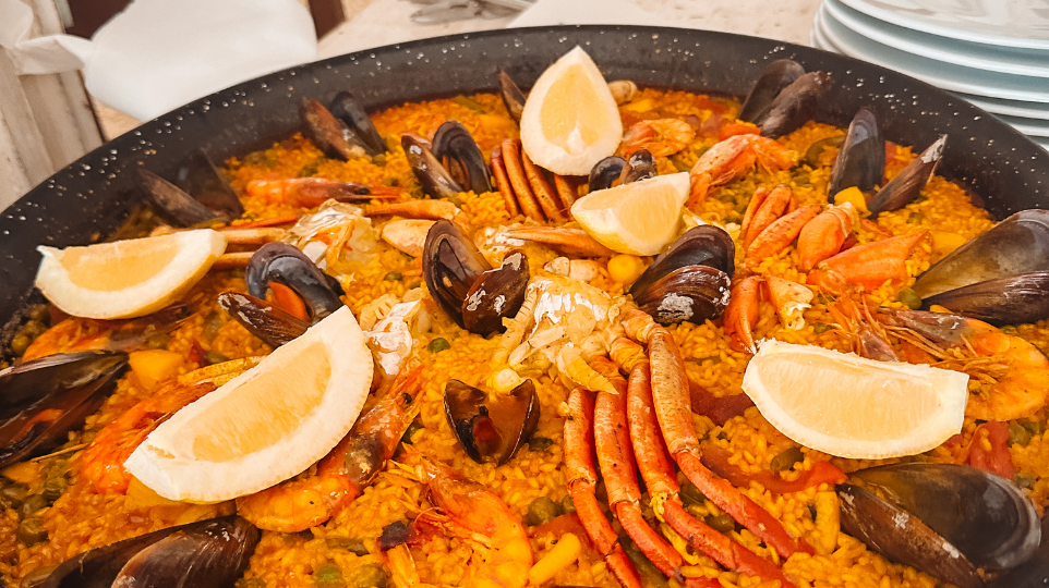 patella dish